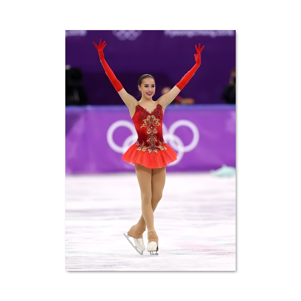 Poster La Danse des Glaces